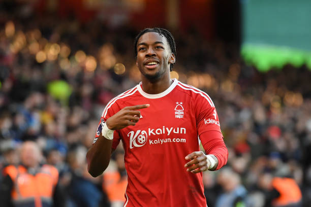 组织上表现 组织上表现